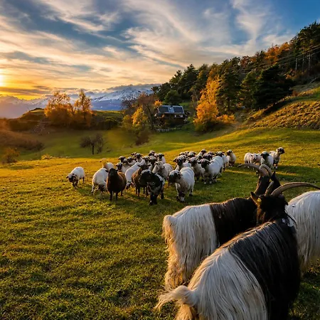 아파트 Alpine - Mountain Views & Outdoor Paradise *